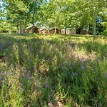 5 - Domaine Des Landes *