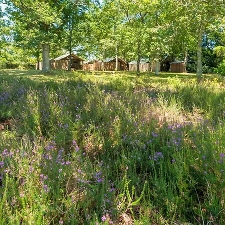 5 - Domaine Des Landes *